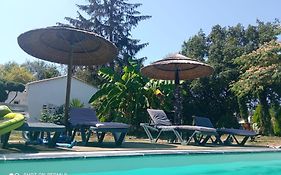 Mas Des Vignes Piscine Chauffee