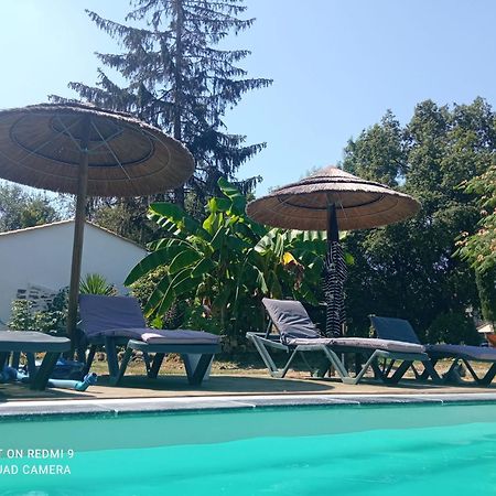 Mas Des Vignes Piscine Chauffee Bed & Breakfast Le Champ-Saint-Pere Exterior photo